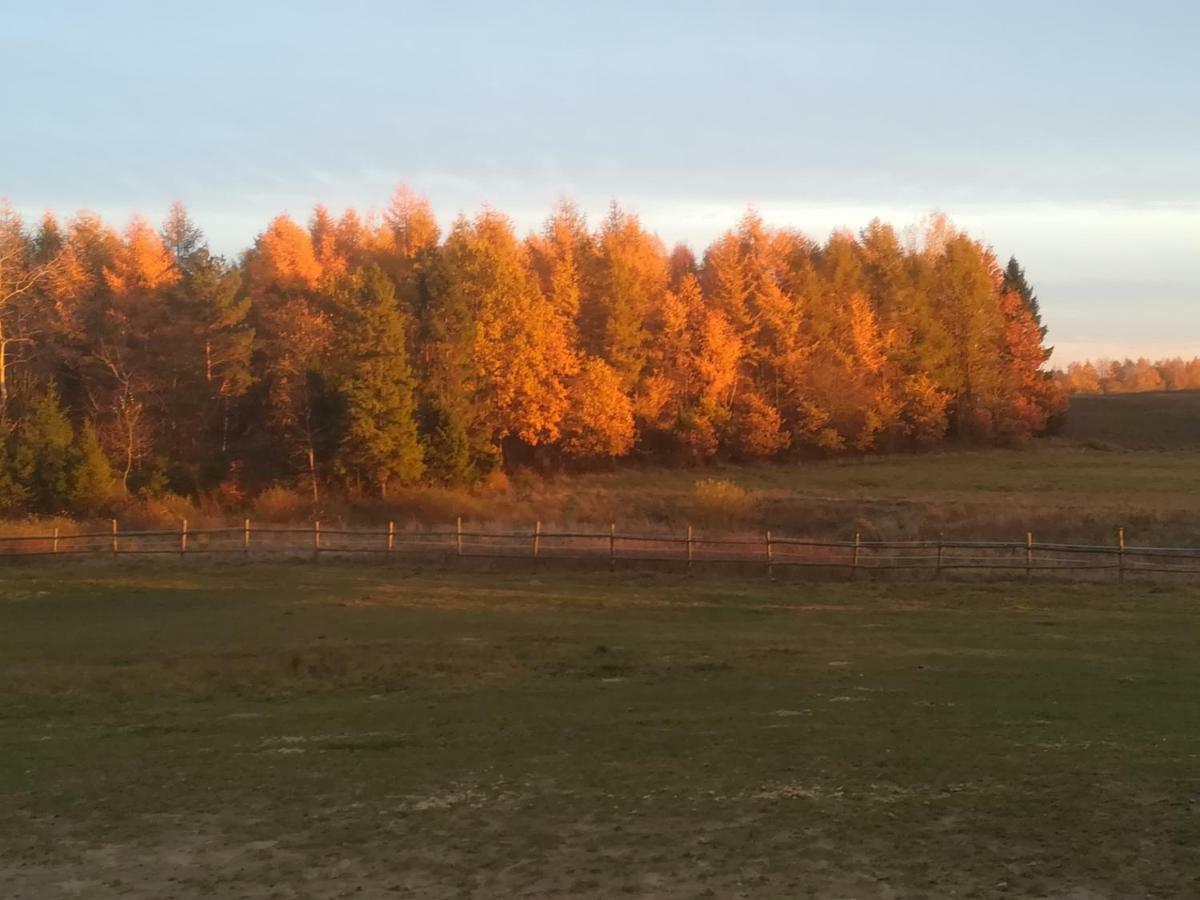 Pensjonat Przy Stajni Kierzkowo  외부 사진